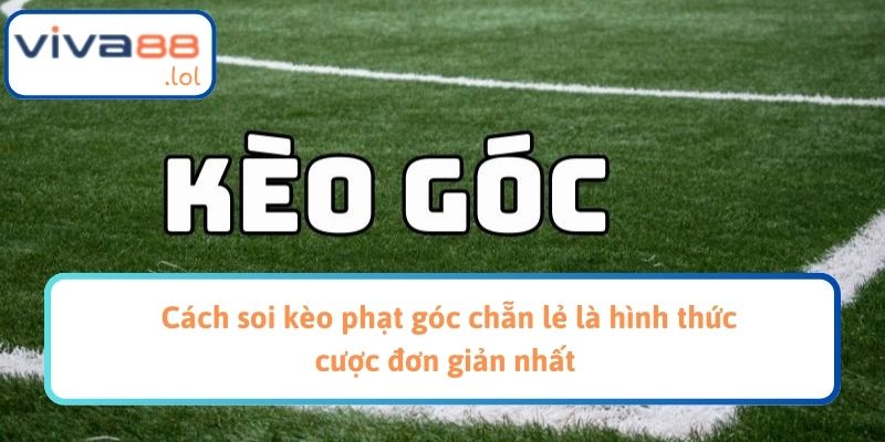 Cách soi kèo phạt góc chẵn lẻ là hình thức cược đơn giản nhất 
