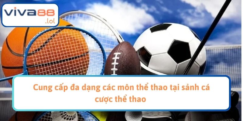 Cung cấp đa dạng các môn thể thao tại sảnh cá cược thể thao 
