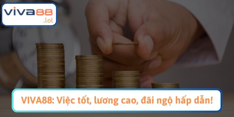 Đãi ngộ và phúc lợi hấp dẫn chỉ có tại VIVA88