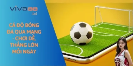 ca-do-bong-da-qua-mang