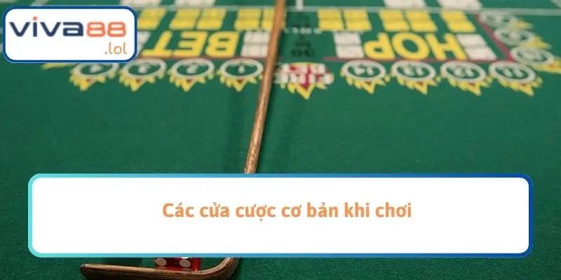 Các cửa cược cơ bản khi chơi